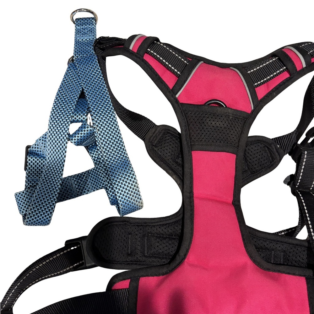 Dog Harnesses : Vibrant Pink and Blue set of 2 for large dogs